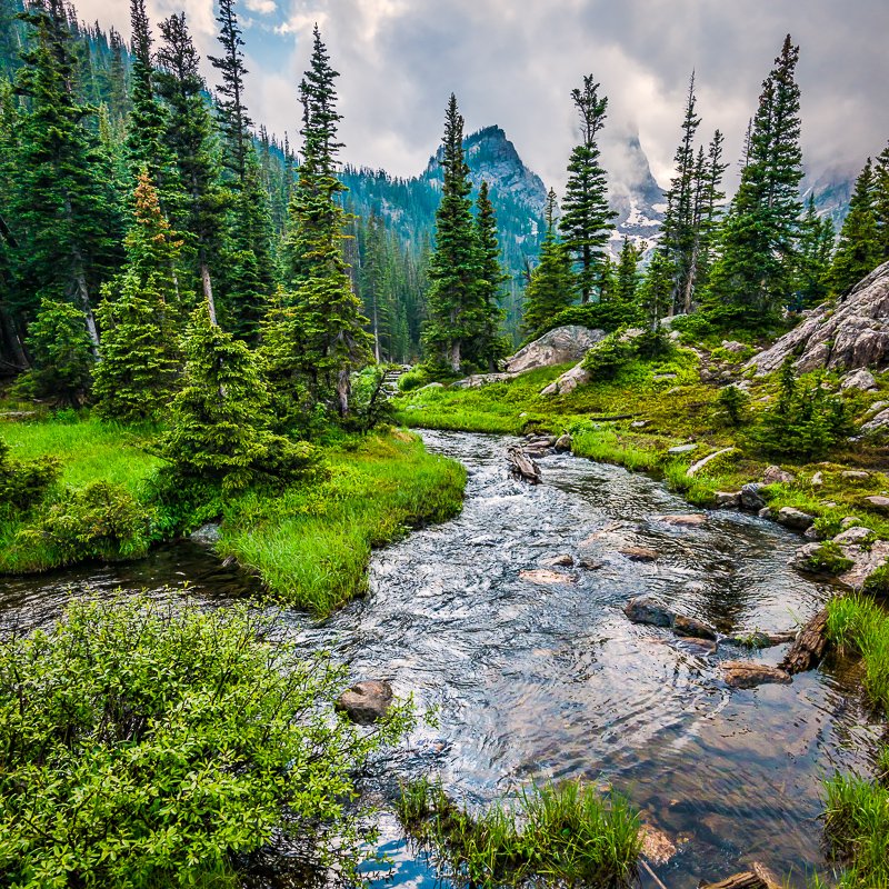 Beautiful Mountain Stream